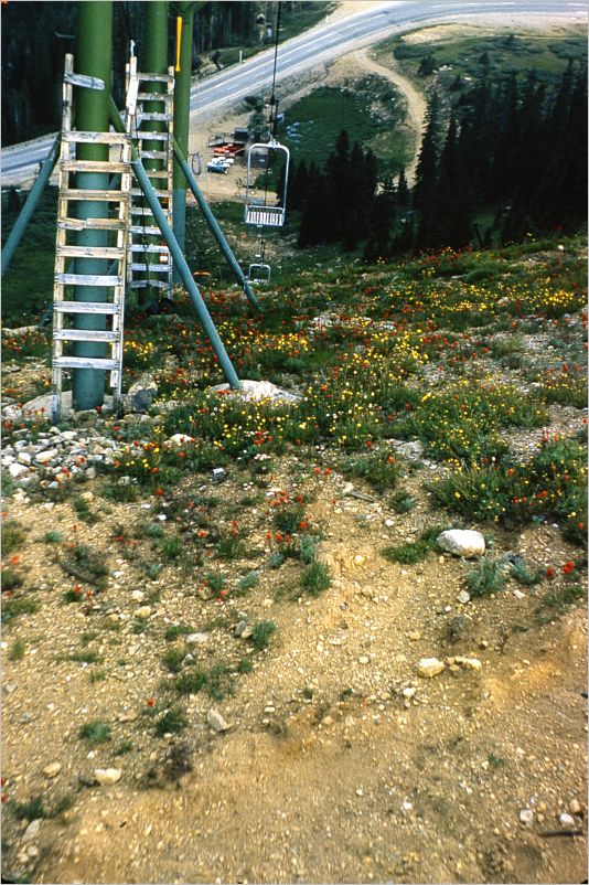 Colorado1971-090