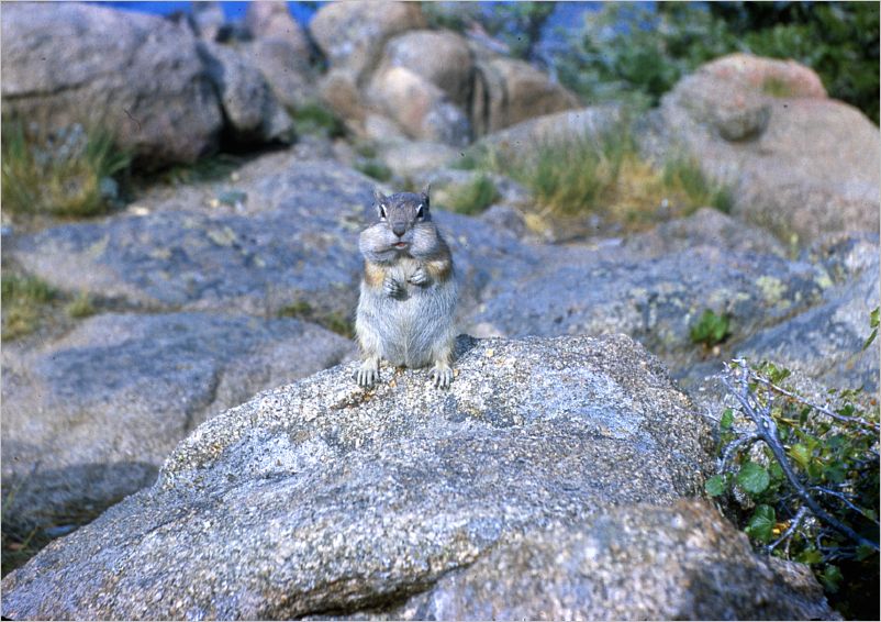 Colorado1971-109