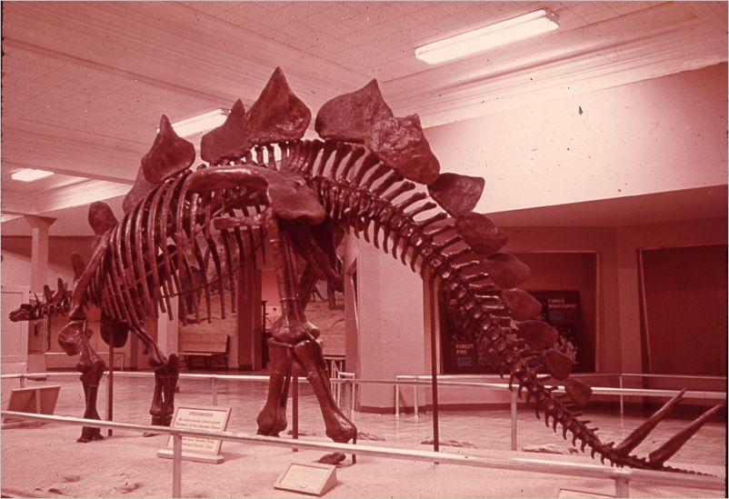 Colorado1971-115