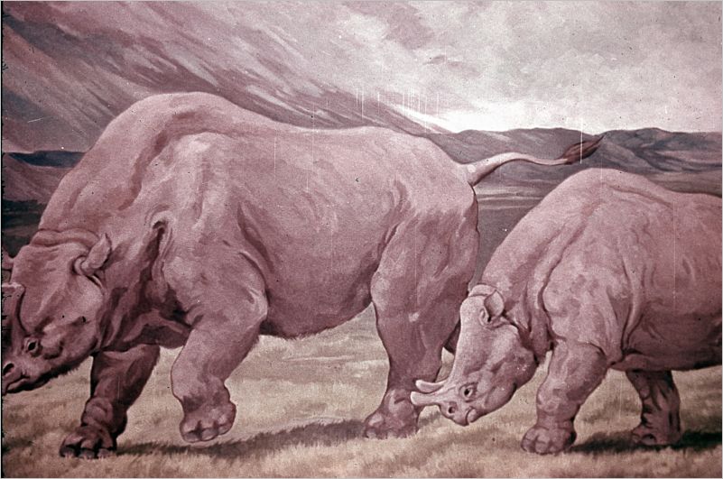 Colorado1971-116