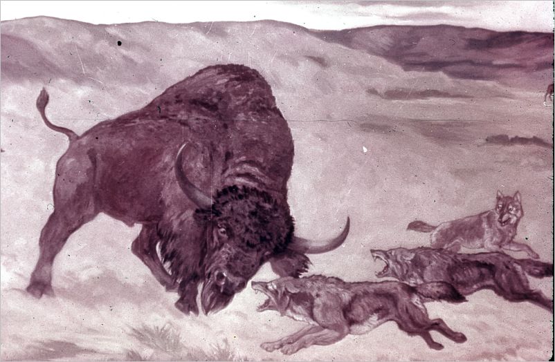 Colorado1971-117