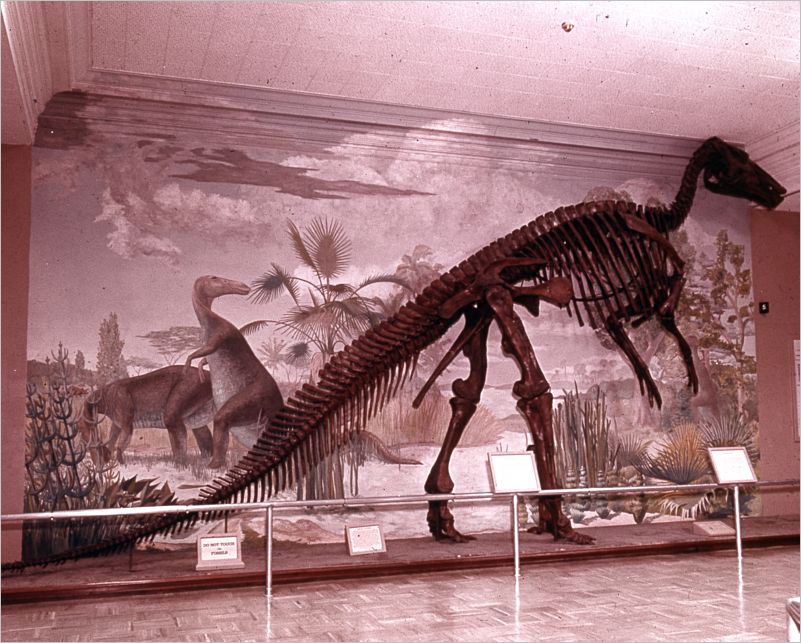 Colorado1971-122
