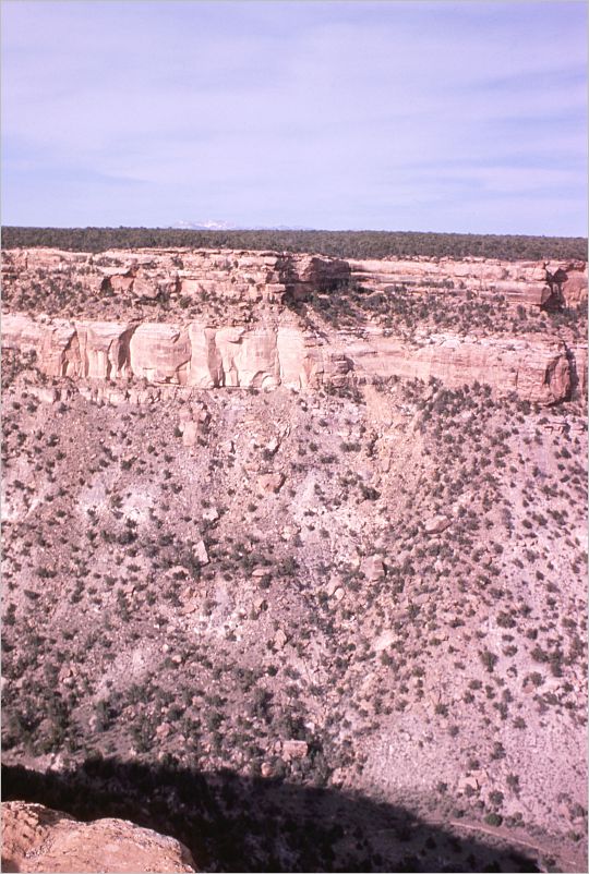 A-1974-vac019