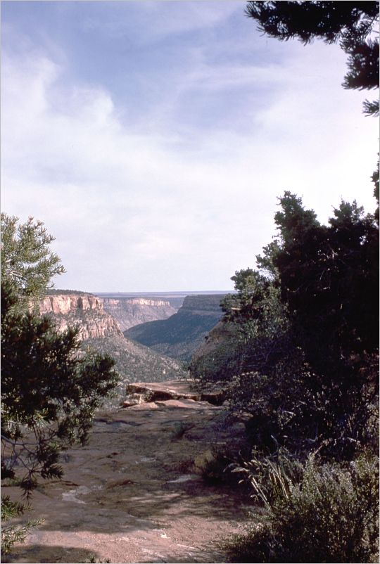 A-1974-vac020