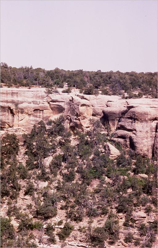 A-1974-vac078