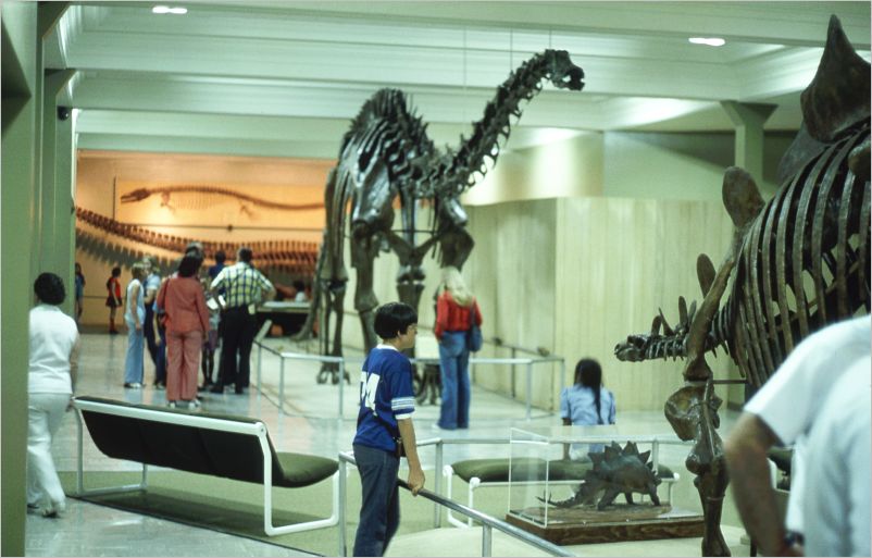 1975 Denver Museum of Natural History