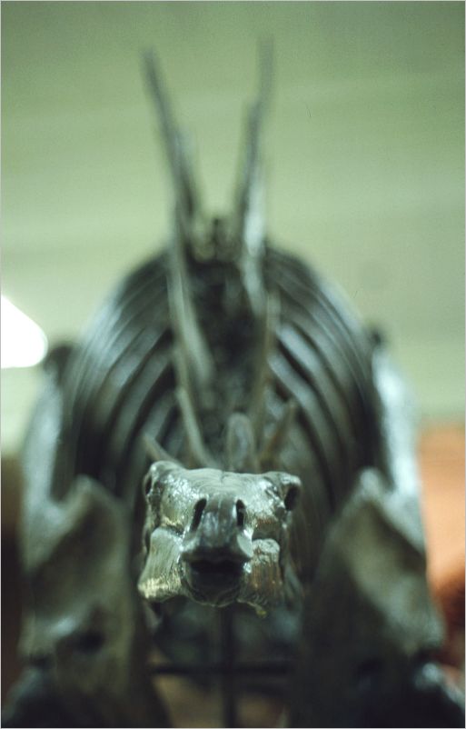 1975 Denver Museum of Natural History
