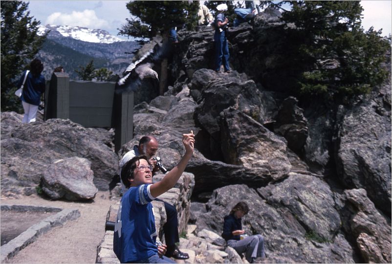 1975 Trail Ridge Road