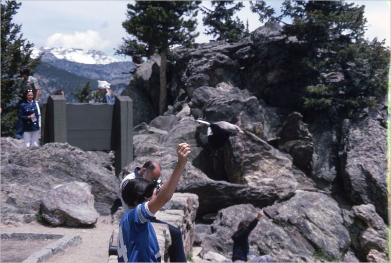 1975 Trail Ridge Road