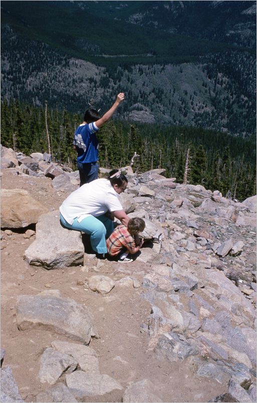 1975 Trail Ridge Road
