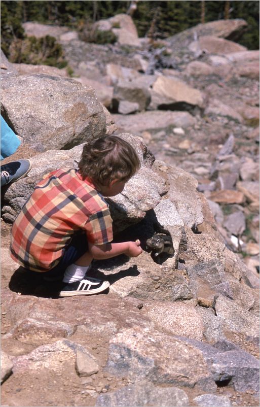 1975 Trail Ridge Road