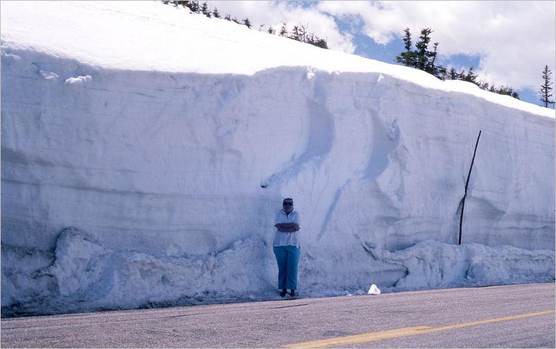 1975 Trail Ridge Road