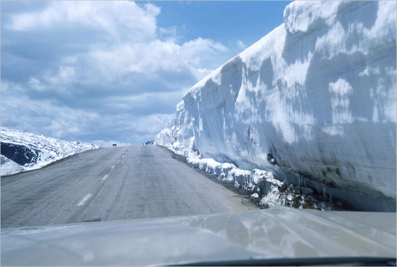 1975 Trail Ridge Road
