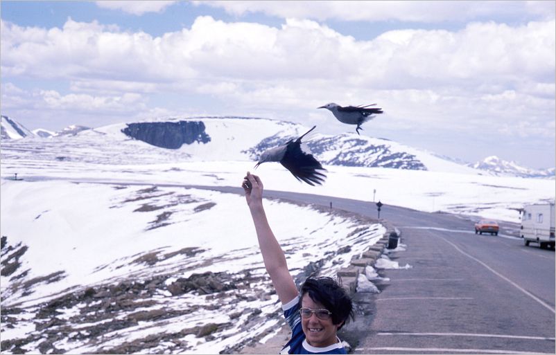 1975 Trail Ridge Road