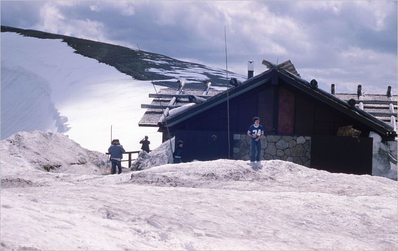 1975 Trail Ridge Road