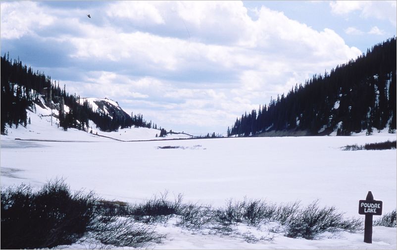 1975 Trail Ridge Road