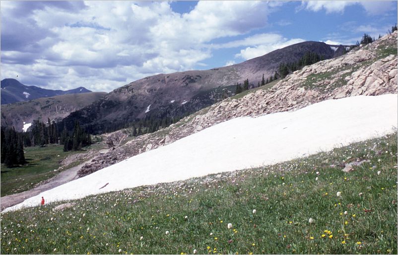 Colorado somewhere