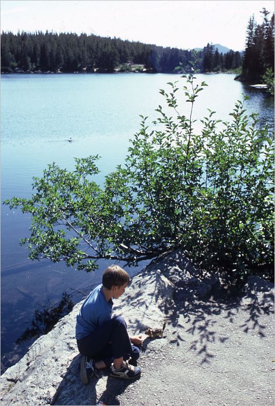 Bear Lake