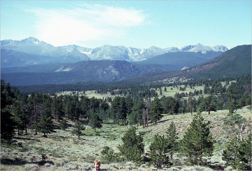 Trail Ridge Road
