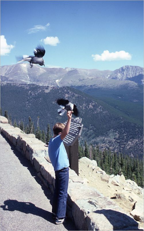 Trail Ridge Road