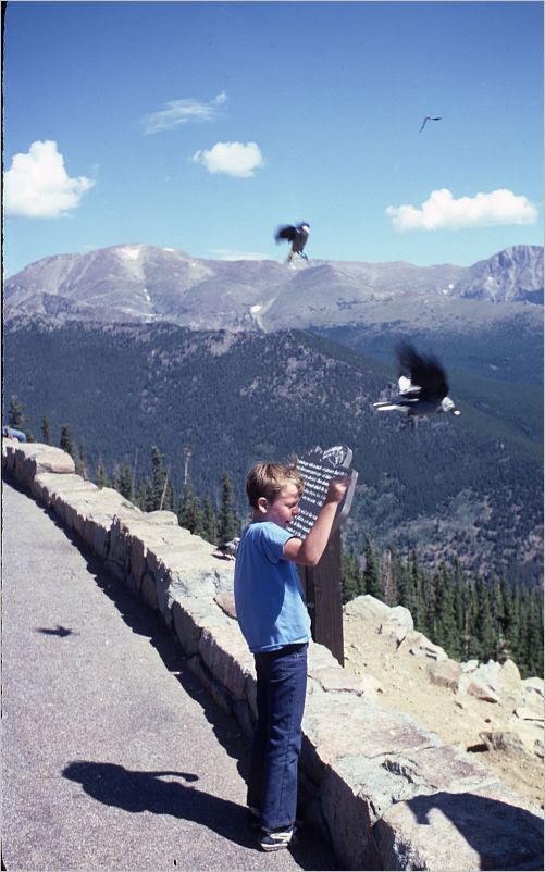 Trail Ridge Road