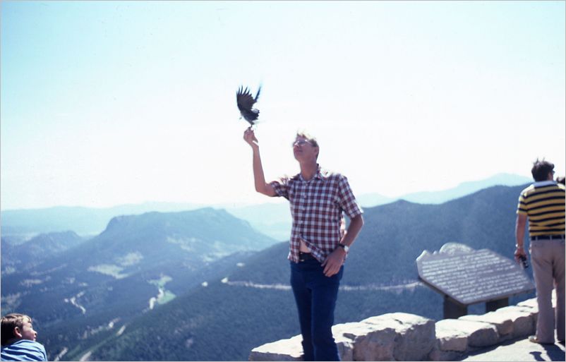 Trail Ridge Road3