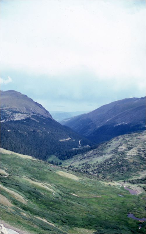 Trail Ridge Road
