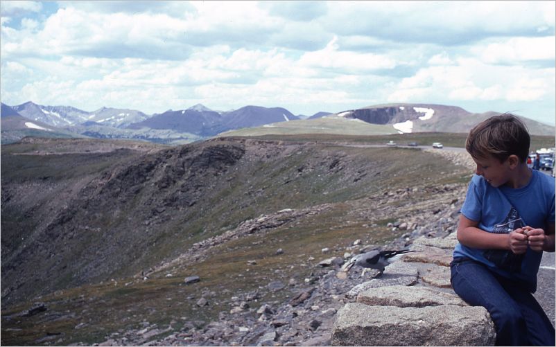 Trail Ridge Road