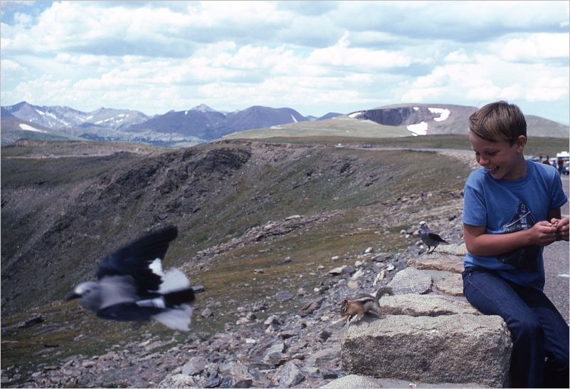 Trail Ridge Road