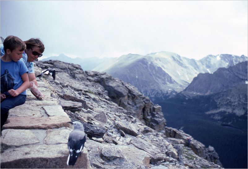 Trail Ridge Road