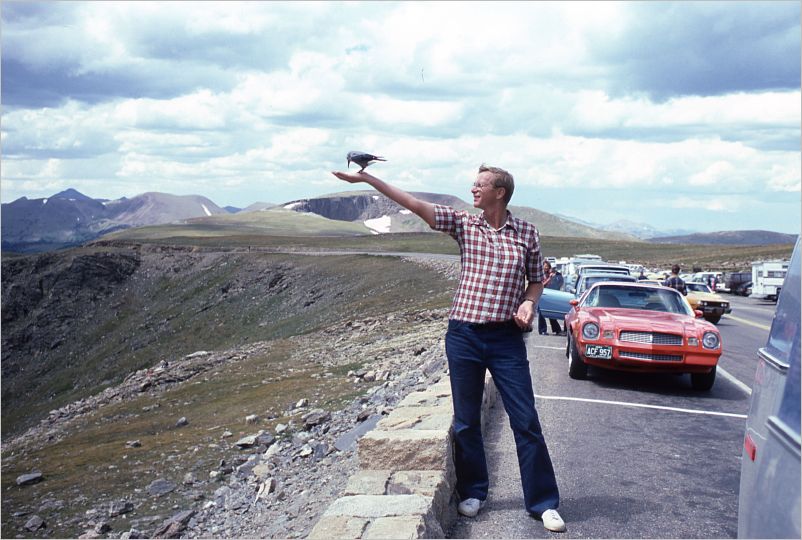 Trail Ridge Road