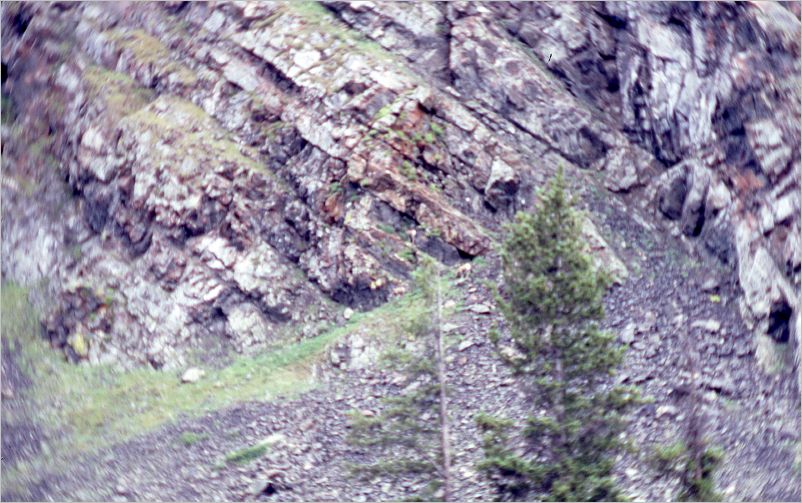 Trail Ridge Road