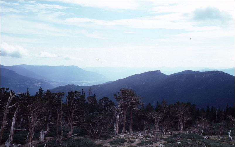 Trail Ridge Road