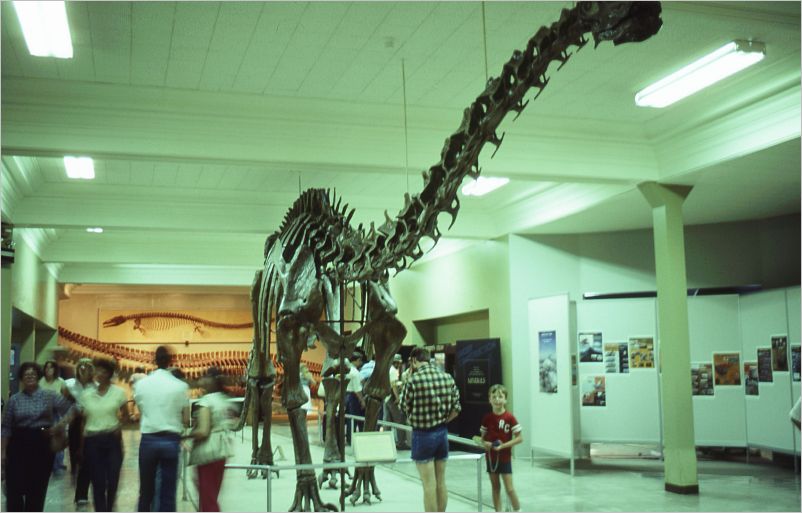 Denver Museum of Natural History
