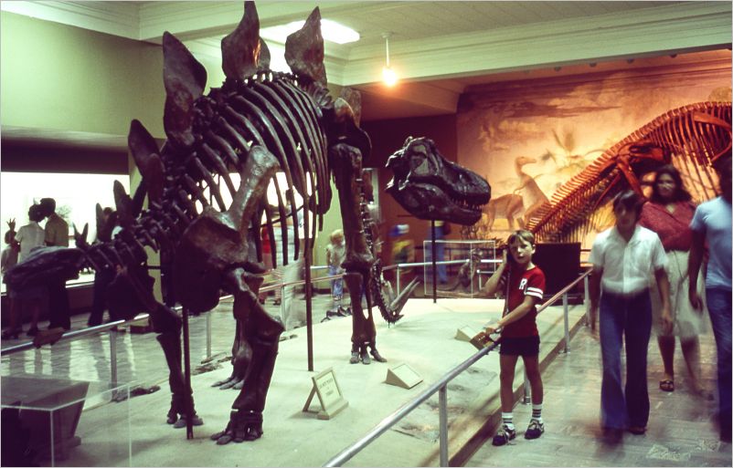 Denver Museum of Natural History