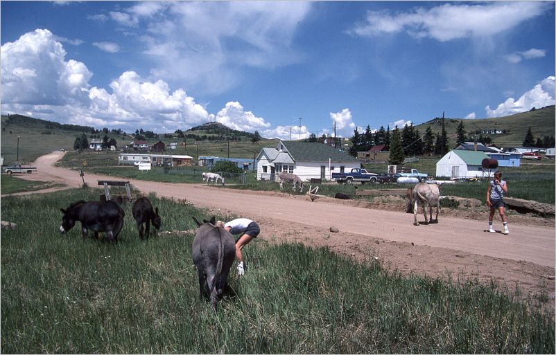 1984-eric-greg-selke-estes-park-colorado-002