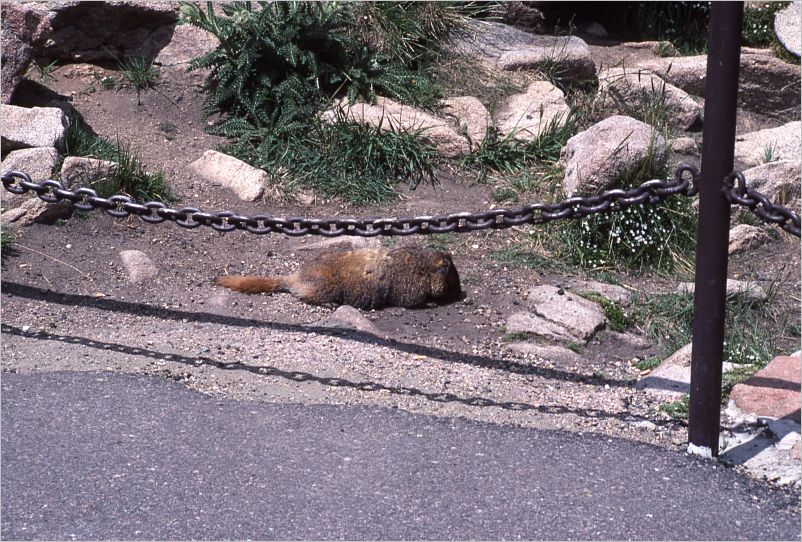 1984-eric-greg-selke-estes-park-colorado-060