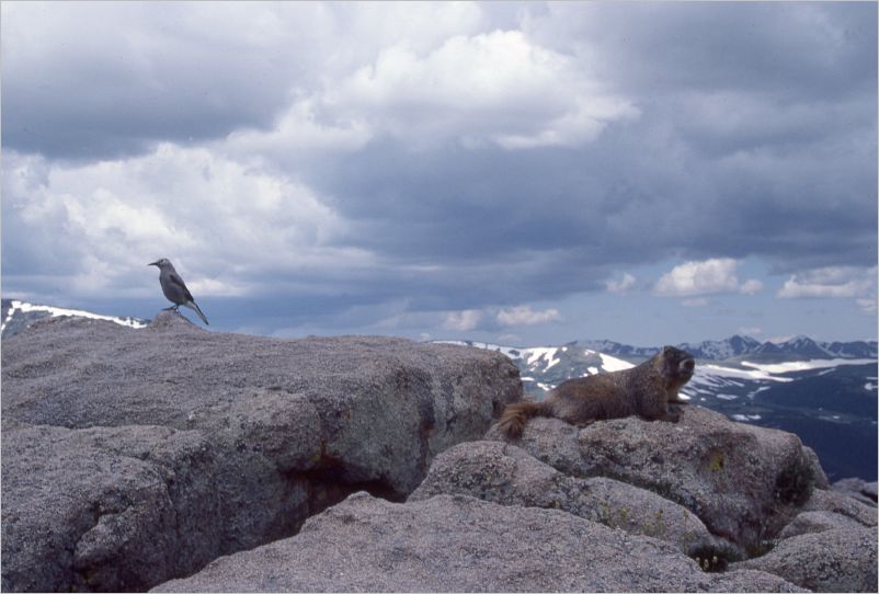 1984-eric-greg-selke-estes-park-colorado-062