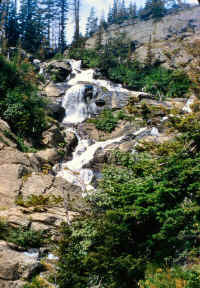 Mont-036-7x10.jpg (143344 bytes)