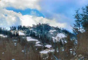 Mont-049-7x10.jpg (73067 bytes)