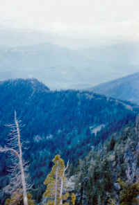 Mont-050-7x10.jpg (64418 bytes)