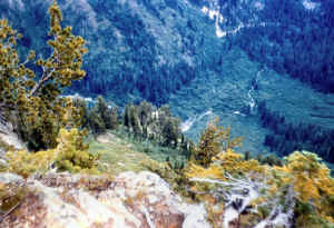 Mont-052-7x10.jpg (111943 bytes)